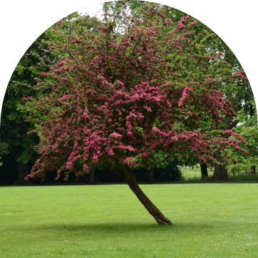 conception gellibert paysage seignosse 40