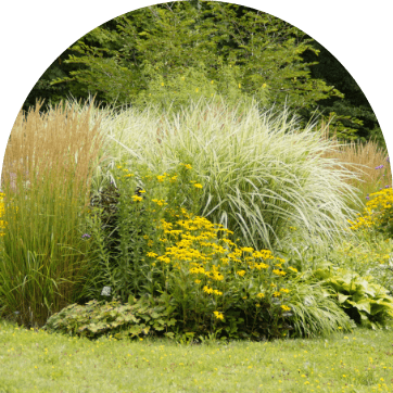 creation gellibert paysage landes seignosse