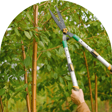 entretien jardin gellibert paysage landes seignosse