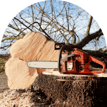 lacaze abattage arbres soustons landes